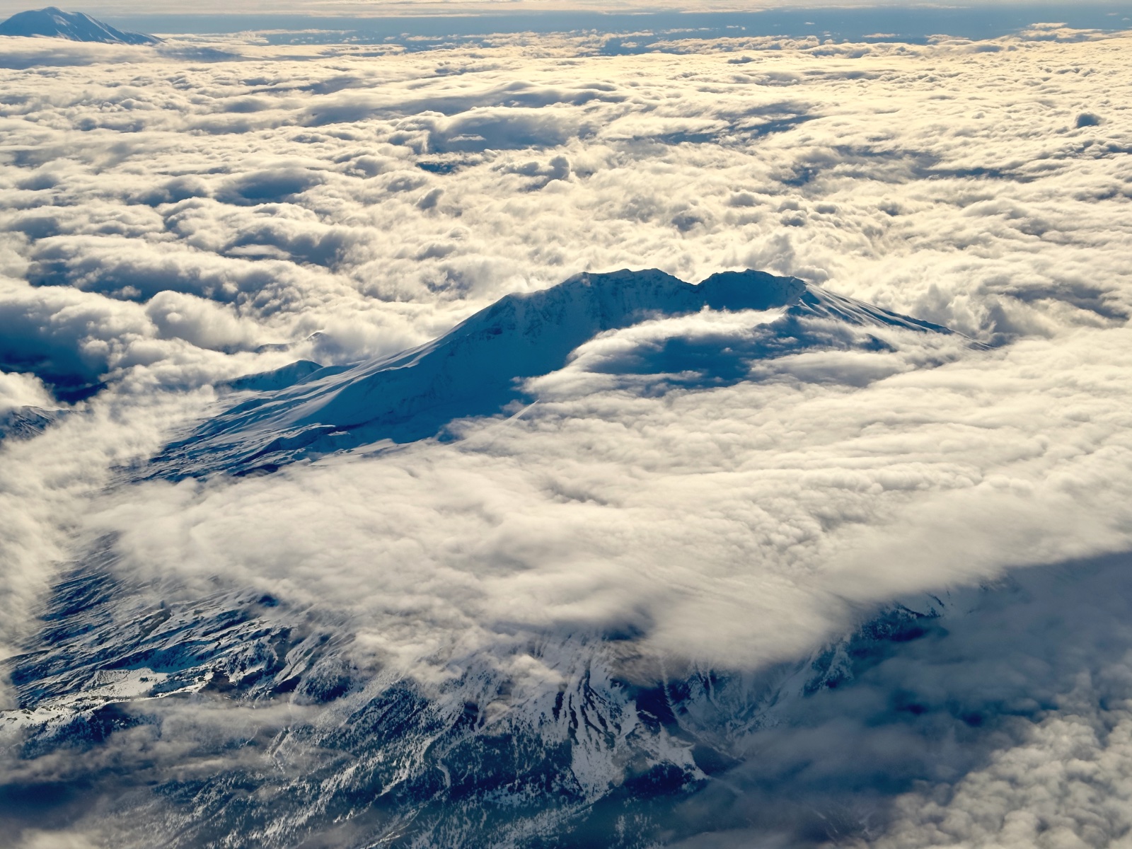 Mt. St. Helens rising above the clouds